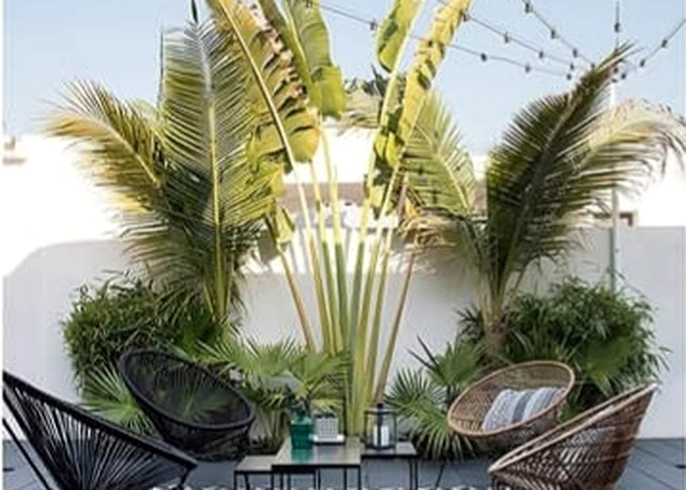 Rooftop & Terrace Landscapes
