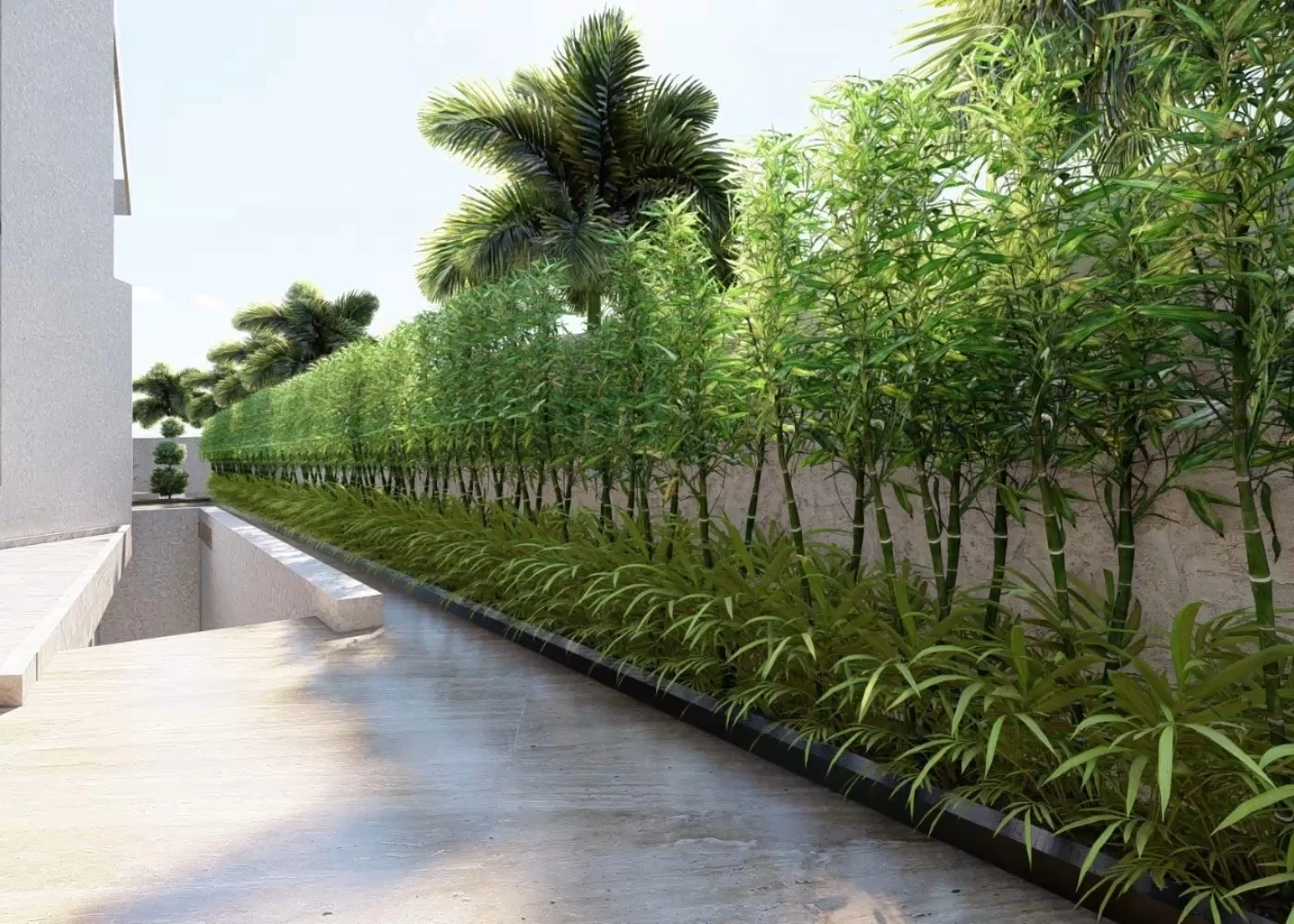 Linear Plantation Borders