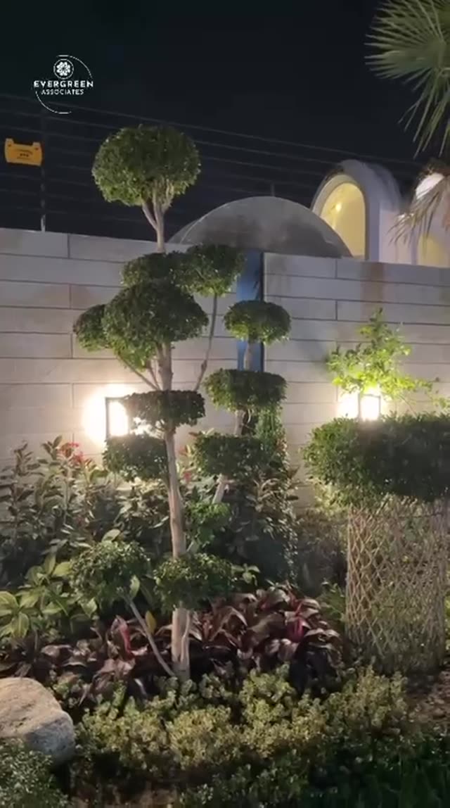 Evergreen Associates project video 51
