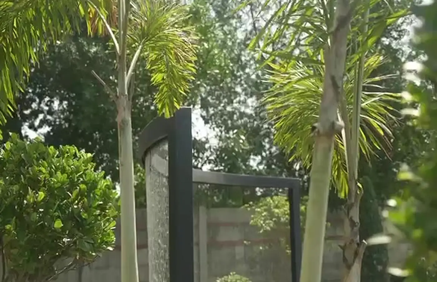 Garden walkway and screen project