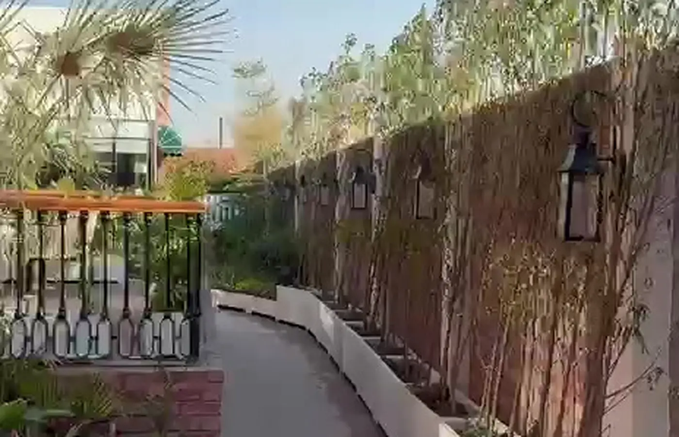 Garden pathway and plantation project